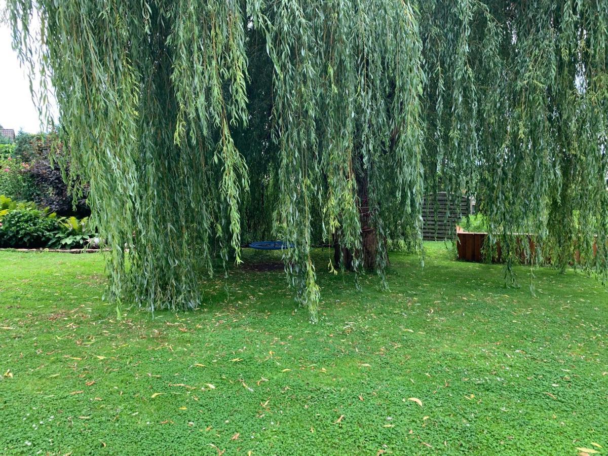 Appartamento Gueneitzblick Clenze Esterno foto